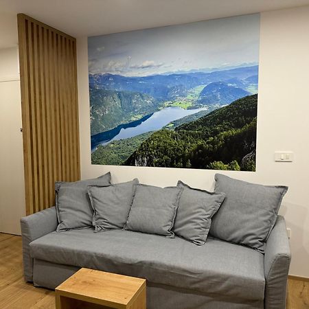 Apartma Tisa Bohinj-No Ouside Windows Exterior foto